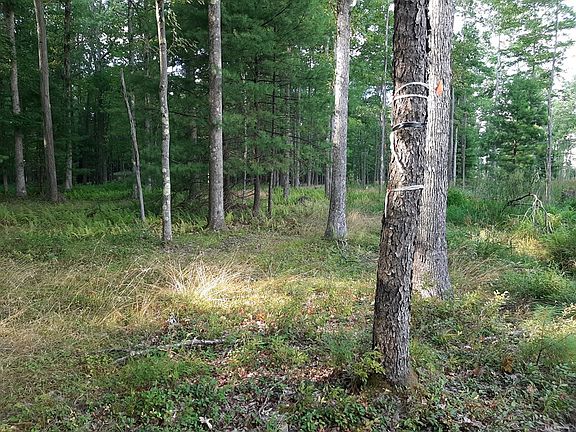 3rd image of 0 Great Bear Ln