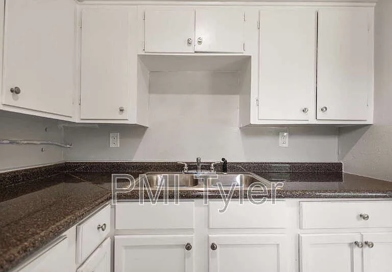 1806 W Oakwood St — Photo 4
