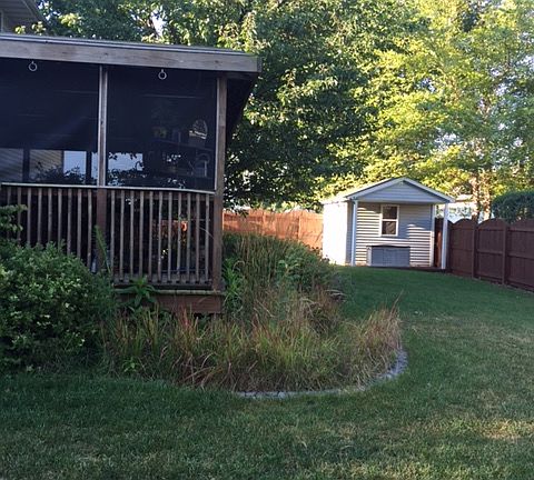 8' privacy fence and shed 