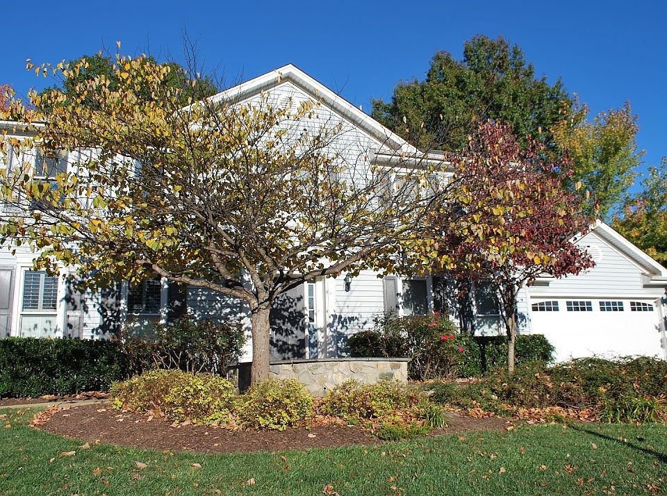 2nd image of 64 Blackwood Rd