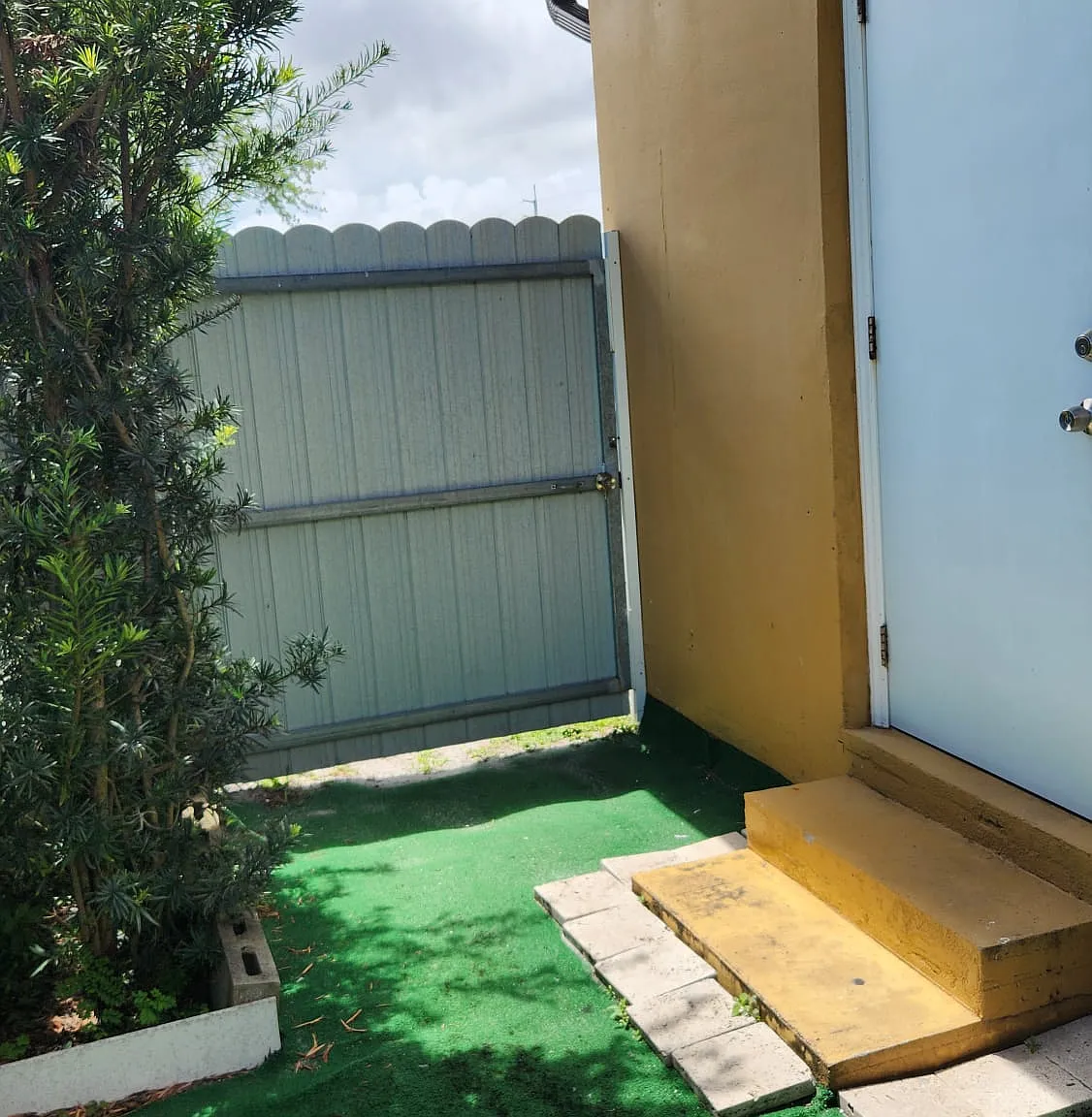 Studio, $800 — Photo 1