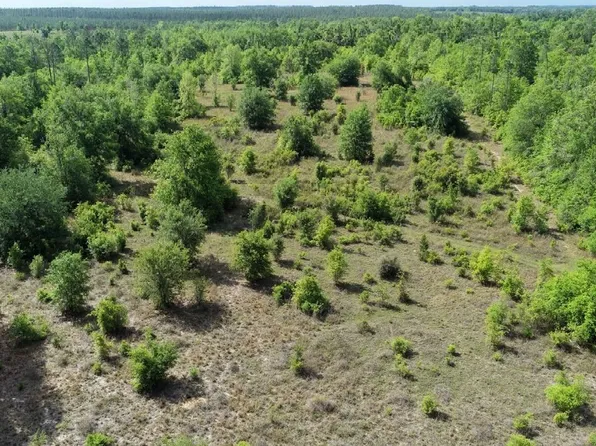 0 NE Cedar Trl, Pinetta, FL 32350