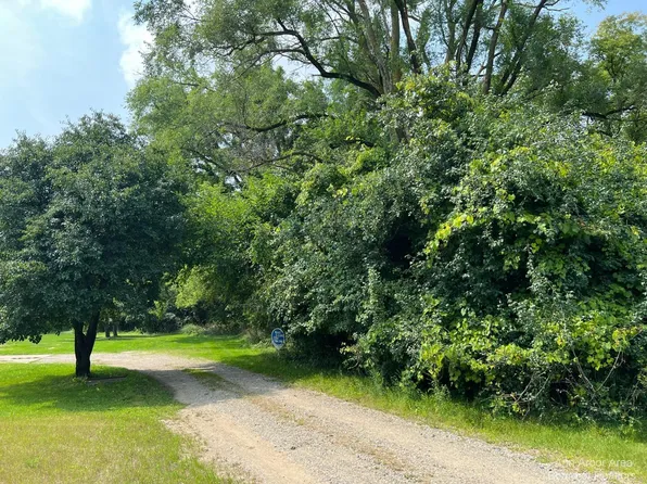 0 Arden Ln, Chelsea, MI 48118