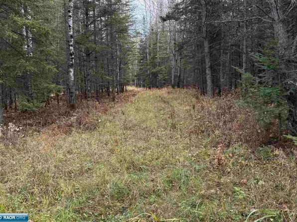 Lane 55 County Rd #341, Aurora, MN 55705