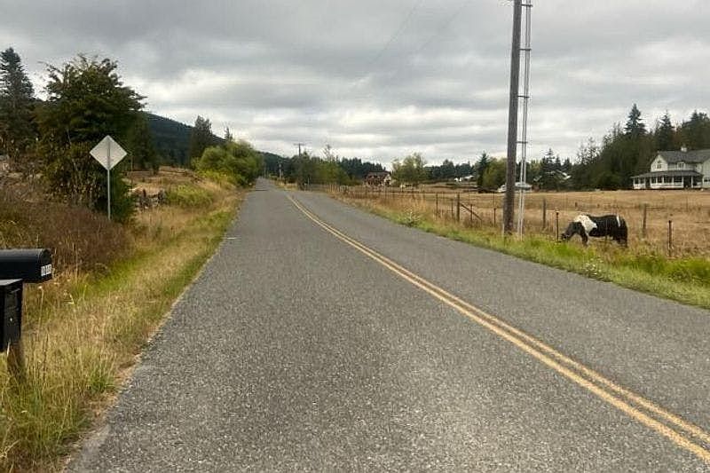 2nd image of 1017 Olson Rd