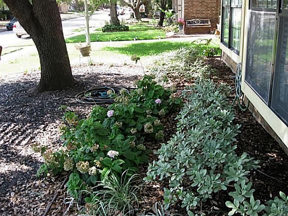 2nd image of 2032 Pheasant Dr