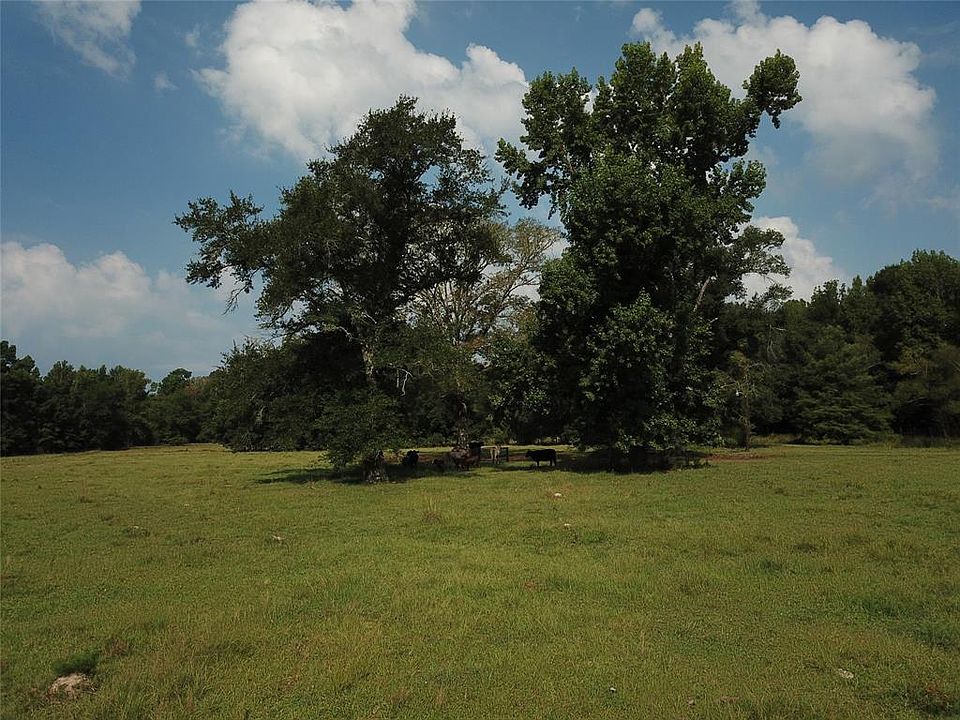 Fm 1414, Burkeville, TX 75932 MLS 10482101 Zillow