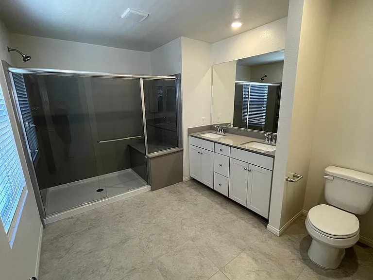 Master bath with huge spa shower and dual vanities