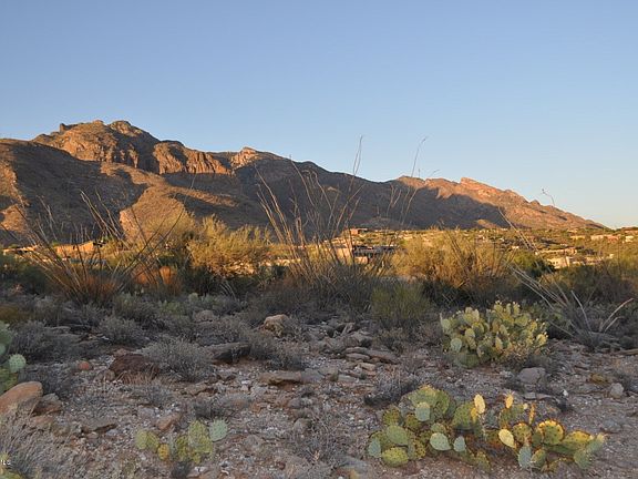 4th image of 1833 E Quiet Canyon Dr