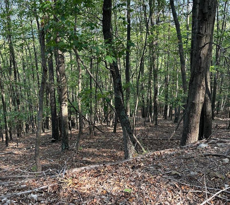 1st image of 699 Chickloon Ln