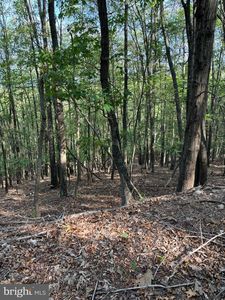 699 Chickloon Ln, Great Cacapon, WV, 25422