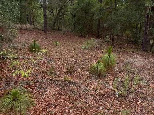 1373 SW 153rd Ave, Ocala, FL 34481