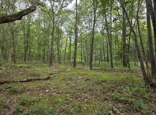 75 Far View Rd, Great Meadows, NJ 07838