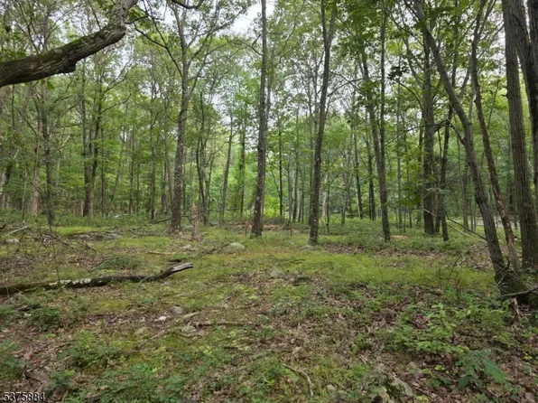 75 Far View Rd, Hope Twp., NJ 07838