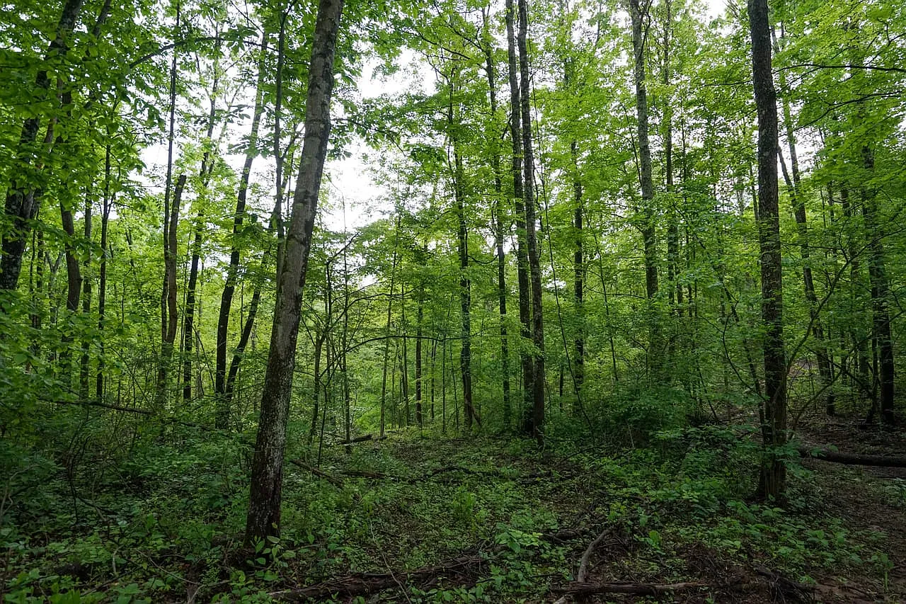 Township Road 460 photo 1
