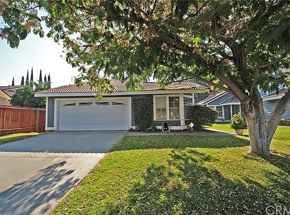 Front lawn with mature shade tree