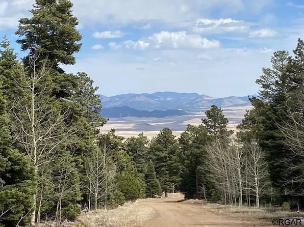 245 Gibson Rd, Westcliffe, CO 81252