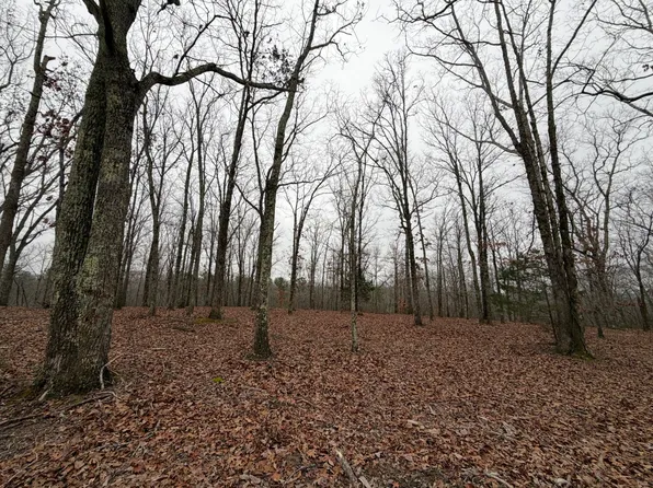 0 Highway 50 E Lot 1, Centerville, TN 37033