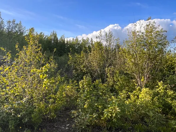 13993 W Aero Ln, Wasilla, AK 99623