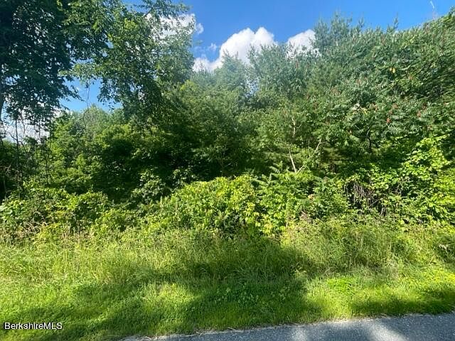2nd image of 0 N Pownal Rd