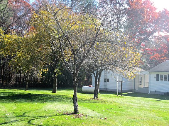 Fruit trees