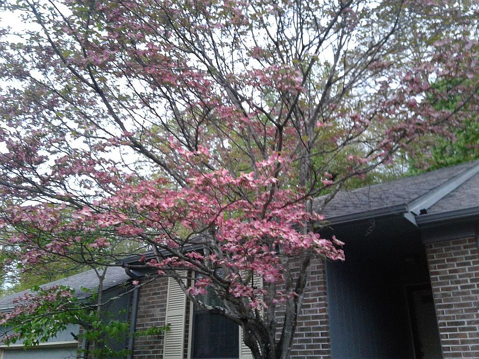 1st image of 216 Camelot Ct