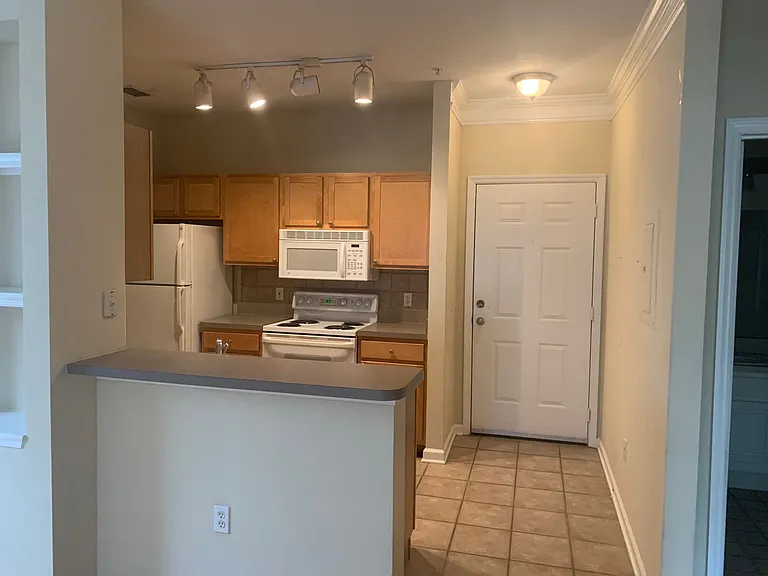 4207 S Dale Mabry Hwy #7308 — Photo 3