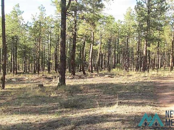 3rd image of Forest Rd #157