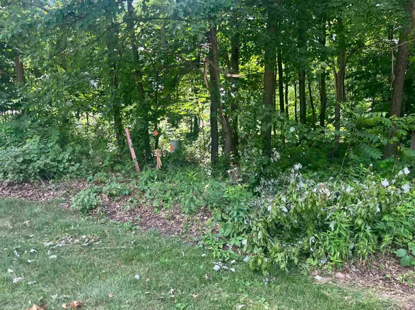 Lots 10 & 11 Oak Hill Est E, Mauston, WI 53948