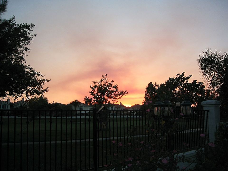 Back Sunset