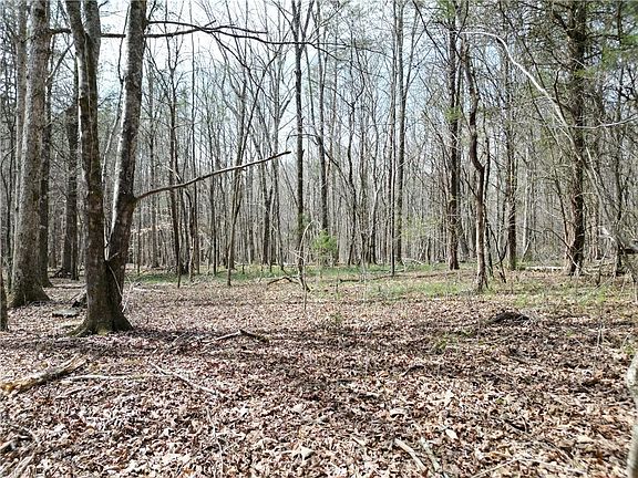 3rd image of 0 Tilden Nursery Rd