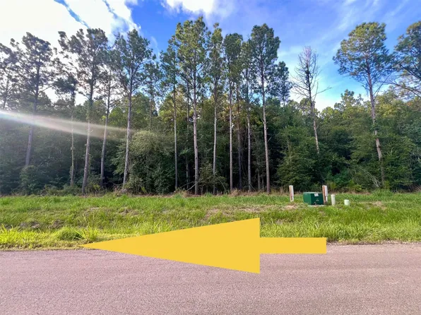1682 Road 66115 Lot 32, Dayton, TX 77535
