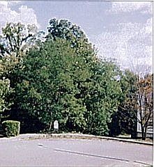1st image of 202 Brittany Cir