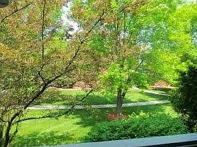View from Balcony