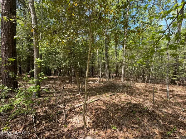 1012-1012R Cedar Ln Lot 1012R, Seven Lakes, NC 27376