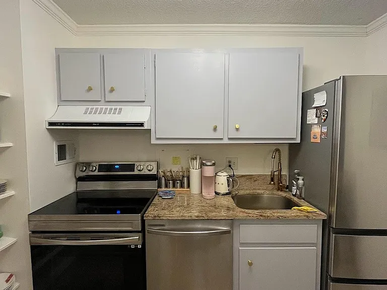 New Samsung applicances kitchen with updated dimmable light fixtures