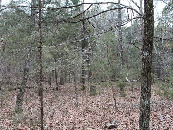 631-28143-000 Needle Eye Trl, Mammoth Spring, AR 72554