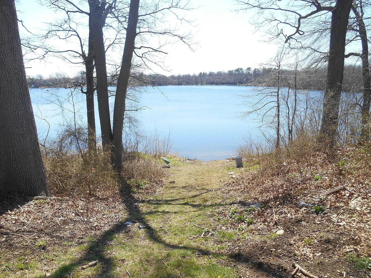 Back Yard View/Access :) - 162 Franklin St