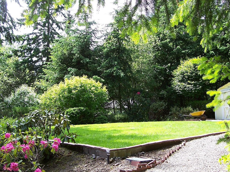 Back Lawn