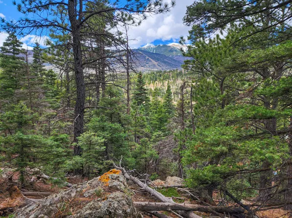 40 Spanish Peaks Filing #2, La Veta, CO 81055