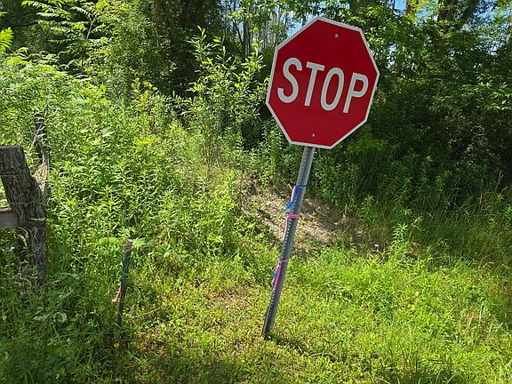 3rd image of 280 Anderson Rd