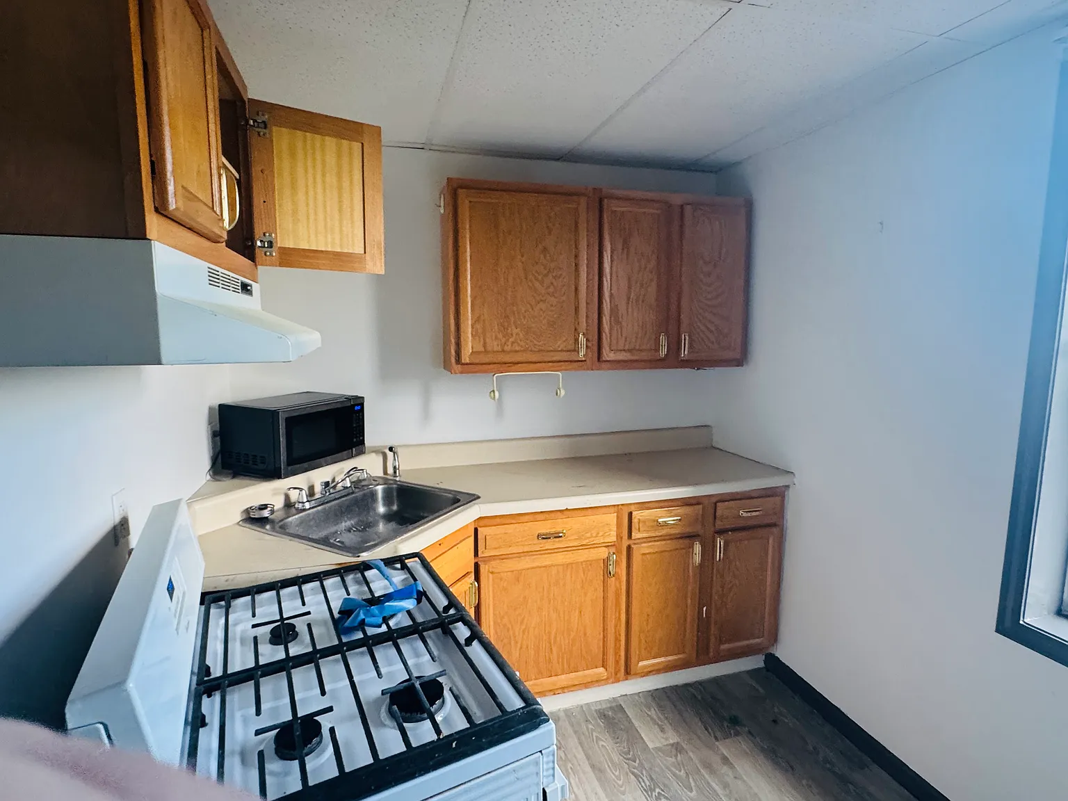 1 bed, $900 — Photo 4