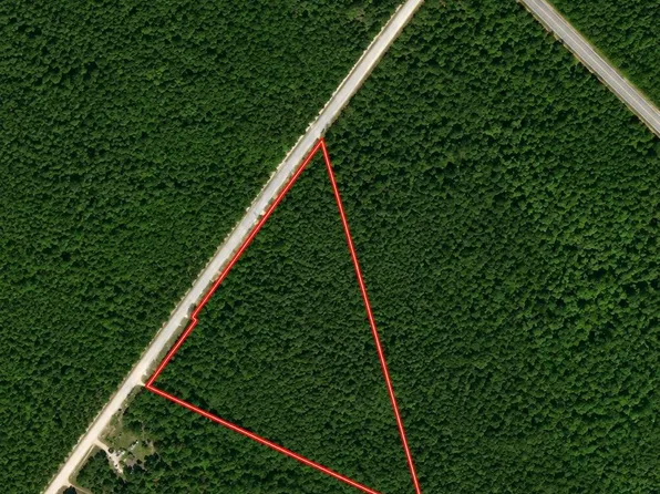 TBD Wolf Pit Bay Rd., Nichols, SC 29581