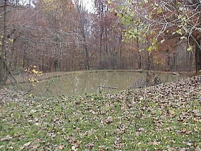 2nd image of 5599 S Ranard Rd