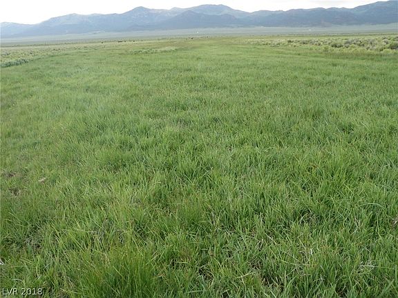 2nd image of 80 Acres In Steptoe Valley