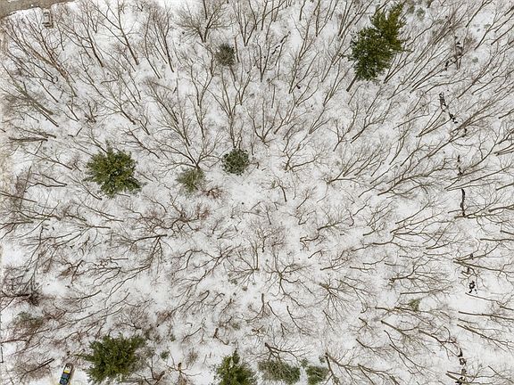 3rd image of 60 Webster St