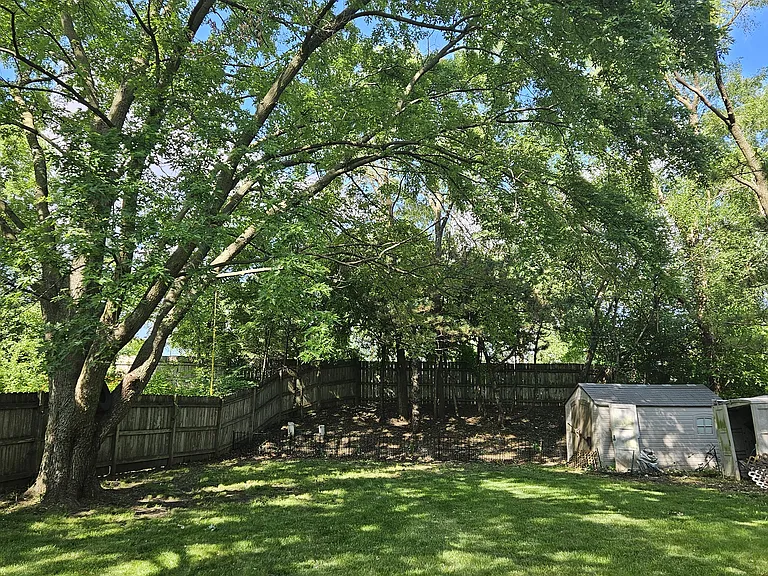 Large airy backyard with mature trees