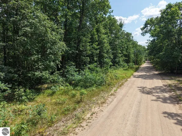167 James St, Wellston, MI 49689