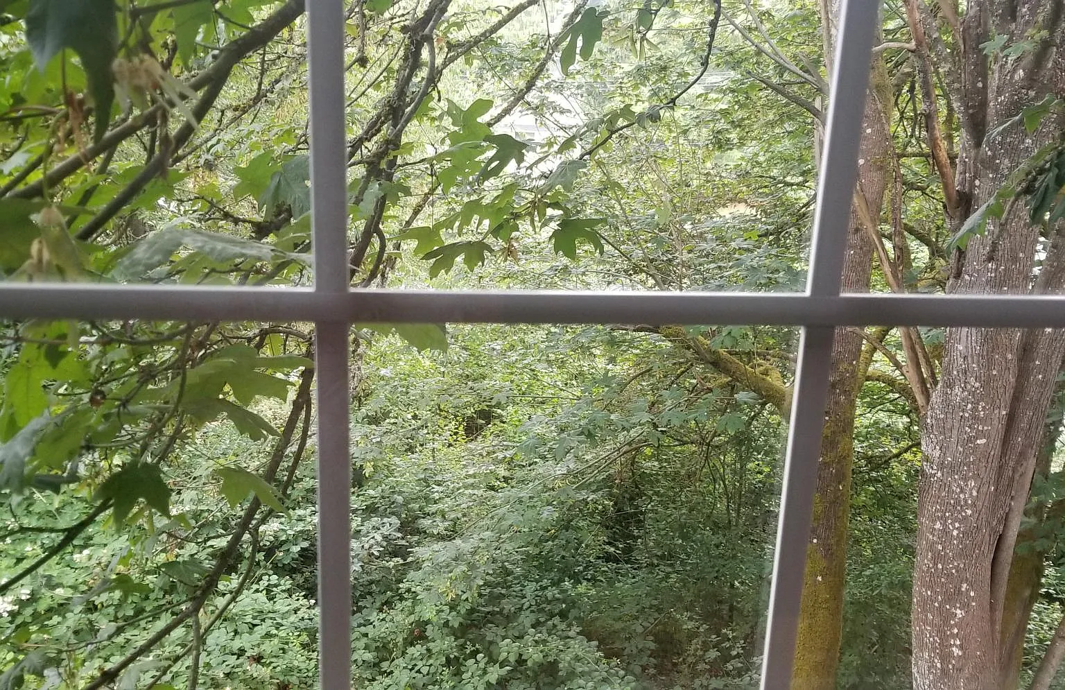 3 bed, 1150 sqft, $2,300 — Photo 4