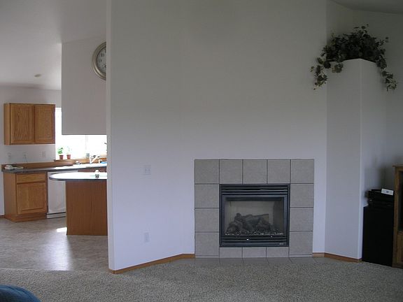 Propane FirePlace